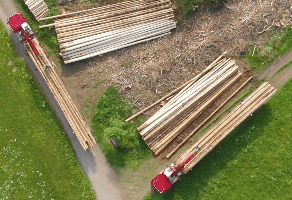 ci-werbeagentur_epsilon-s260l